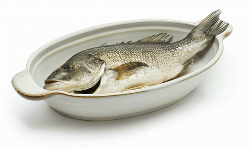 白色背景中隔离的菜肴中的澳洲肺鱼或鲈鱼包括剪切路径