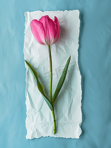 浪漫蓝色水彩背景摄影照片_蓝色背景水彩纸上带一朵郁金香的垂直贺卡