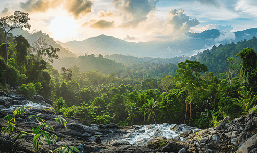热带森林山上森林中的全景瀑布