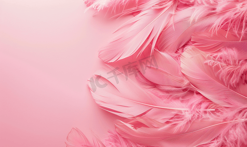 粉红色柔和背景上美丽的粉红色鸟羽毛平躺有复制空间