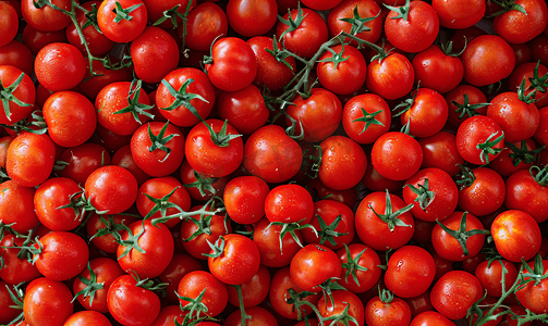 番茄背景视图