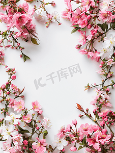 海报边框摄影照片_引用“你好春天”边框由白色背景上盛开的花朵制成