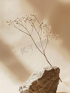降温趋势摄影照片_浅棕色背景上的干花枝和石头趋势最小概念宏