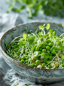 植物豌豆摄影照片_由豌豆微绿豆芽和发芽豆制成的素食健康沙拉的特写