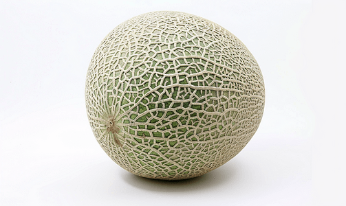 简单的摄影照片_白色背景上防震的绿色哈密瓜