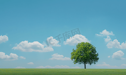 红条横幅摄影照片_绿地绿树蓝天背景网页横幅