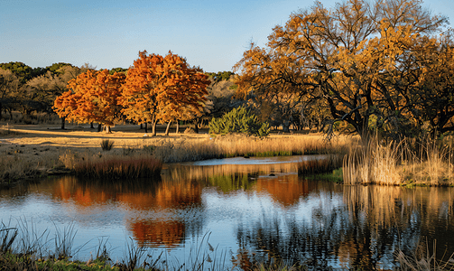 金色图形摄影照片_秋天德克萨斯州池塘的水平图像