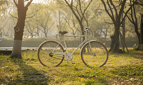 白色自行车停在公园晨间健身孤独