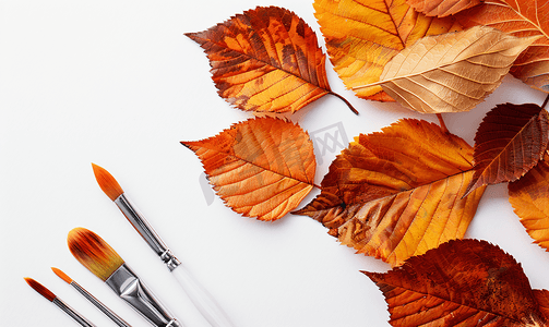 十月摄影照片_具有干燥明亮的秋叶概念的油漆刷