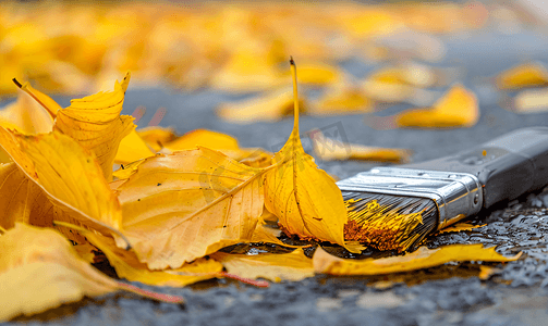 秋天的黄叶摄影照片_画笔描绘街道上落下的黄叶