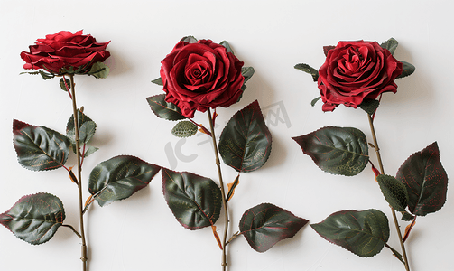 活动语摄影照片_白色单红色塑料假玫瑰
