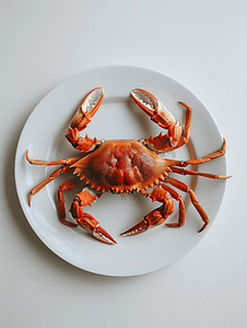 盘子上的红蟹和白色背景