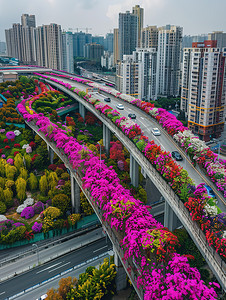 城市高架桥绿化花卉图片