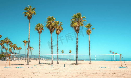秒杀英雄摄影照片_加利福尼亚州洛杉矶威尼斯海滩上的棕榈树和排球网