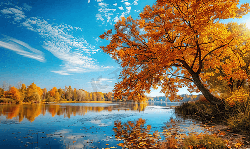 十月秋季风景照片和潮滩