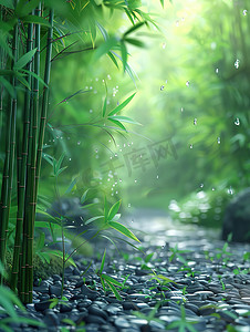 竹林和黑色的鹅卵石高清摄影图