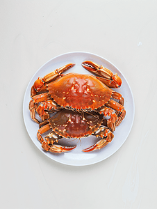 吃蟹摄影照片_盘子上的生蟹和白色背景