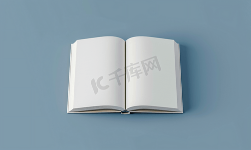 企业形象设计摄影照片_逼真的书籍封面模型模板