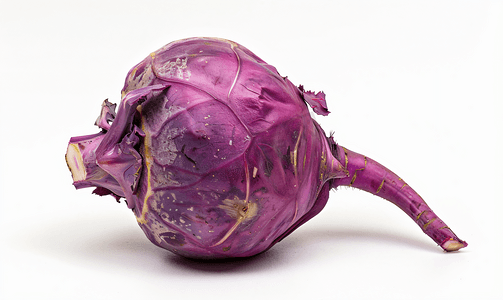 白菜根摄影照片_分离的紫色大头菜成熟主根