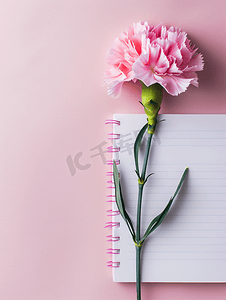 风框架摄影照片_粉红色背景中的记事本和粉红色康乃馨花