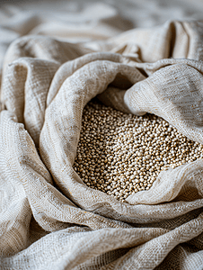 布袋里的藜麦白籽健康的饮食习惯和均衡饮食的概念