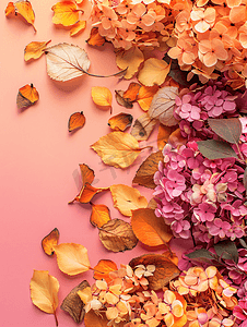 迎新春横幅摄影照片_秋季横幅上面有彩色背景上干绣球花和花楸玫瑰的图案