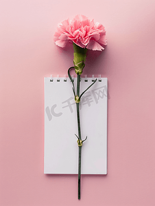 粉色书籍摄影照片_粉红色背景中的记事本和粉红色康乃馨花