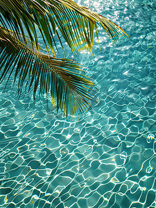 棕榈叶透明热带水纹理高清摄影图