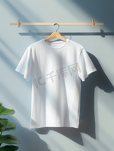 纯棉短袖白T产品海报摄影图