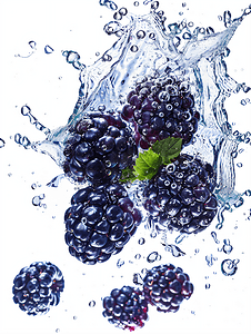 孤立的白色背景上有水溅的新鲜黑莓
