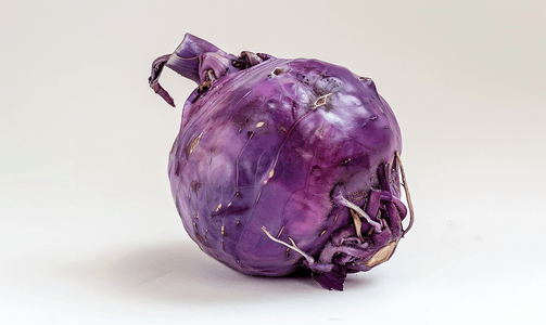 分离的紫色大头菜成熟主根
