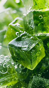 清凉夏日背景图片背景图片_夏日3D绿色清新透明冰块手机壁纸背景图片