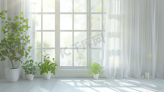 绿植吊藤摄影照片_白色窗帘窗户绿植摄影照片