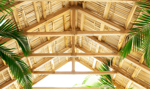 屋顶摄影照片_棕榈和木质屋顶结构