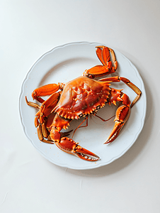 盘子上的红蟹和白色背景