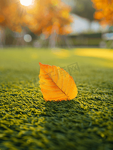 足球草坪图案摄影照片_浅景深人造草上的黄色落叶