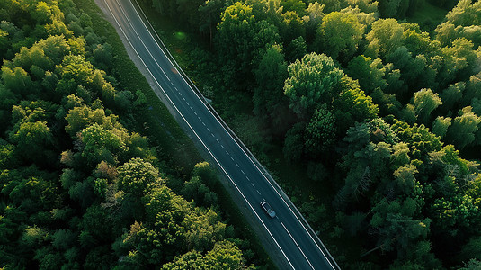 绿色森林的公路道路照片