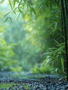 竹林和黑色的鹅卵石高清摄影图