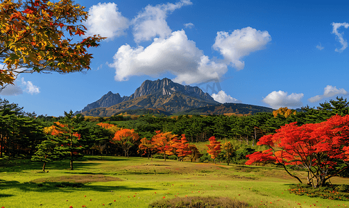 大麦天空摄影照片_韩国济州岛甘布里山秋景