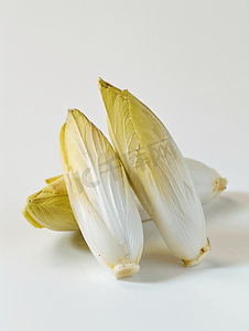 剪头剪头摄影照片_单一新鲜比利时菊苣菊苣分离