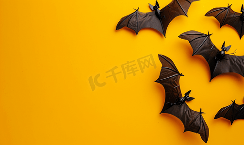 万圣节摄影照片_黄色背景上的风景蝙蝠概念万圣节