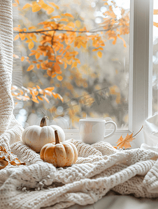 舒适的秋季组合毛衣天气南瓜热茶和窗上的毛衣