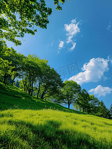在青草山顶可以看到绿树成荫的绿树和蓝天