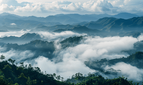 美丽的山景和白雾