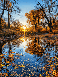 深秋的清晨阳光反射在小溪中