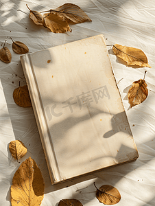 阅读之星模板摄影照片_带干树叶的复古书籍封面样机模板