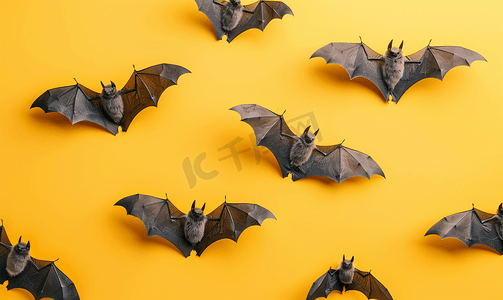黄色背景上的风景蝙蝠概念万圣节