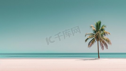 热带图片摄影照片_热带海滩椰子树复古图片
