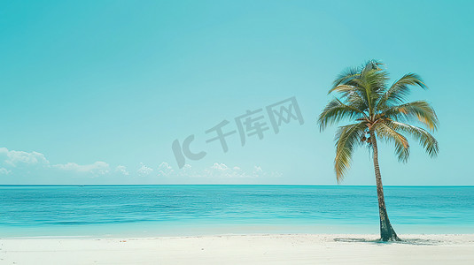热带海滩椰子树复古图片