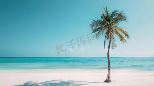 热带海滩椰子树复古图片